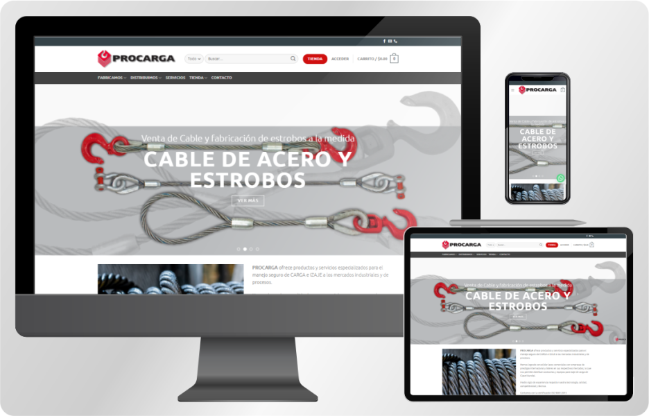 Procarga Web